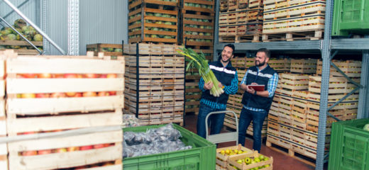 Two males in a distribution centre holding up and inspecting product, surrounded by skids of fruits and vegetables
