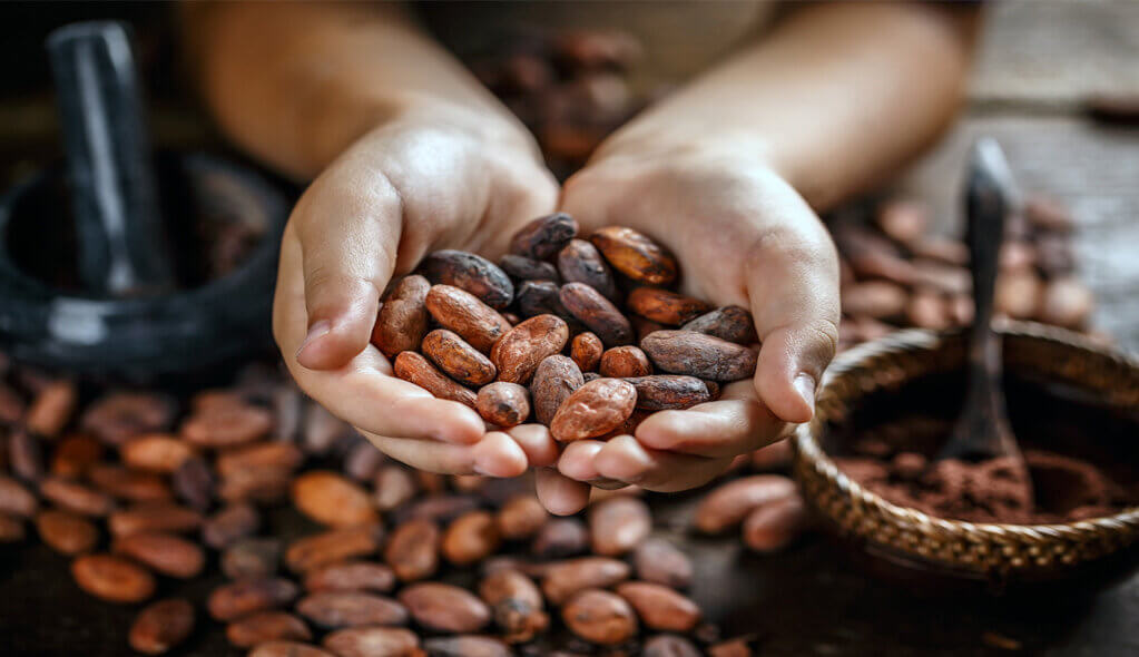 Cacao Fraitrade